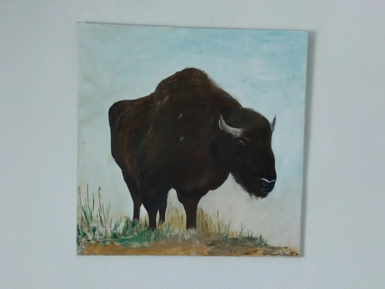 Billede 1 - Bison tyr, 50 x 50 cm