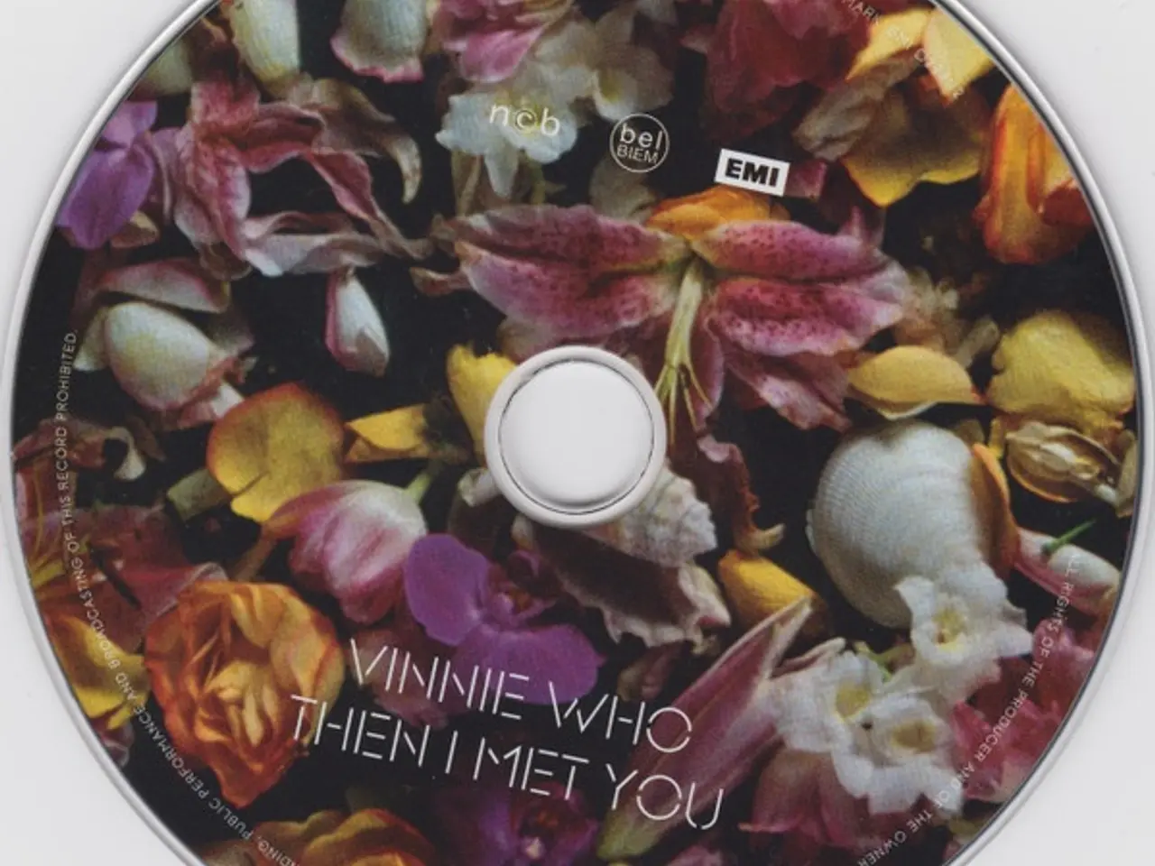 Billede 3 - Vinnie Who – Then I Met You – CD