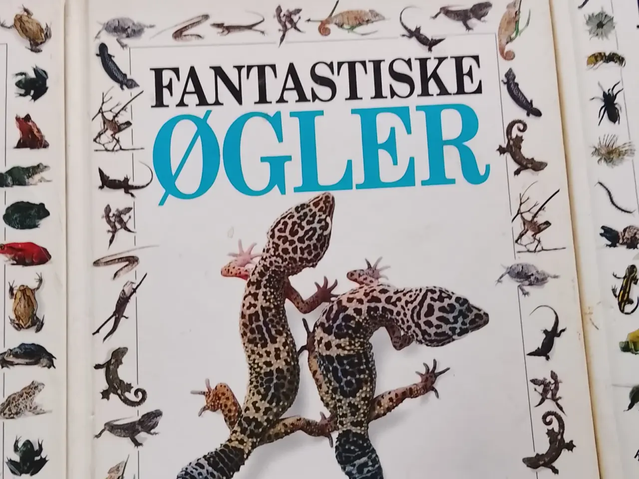 Billede 2 - Bøger sæłges..Fyñ
