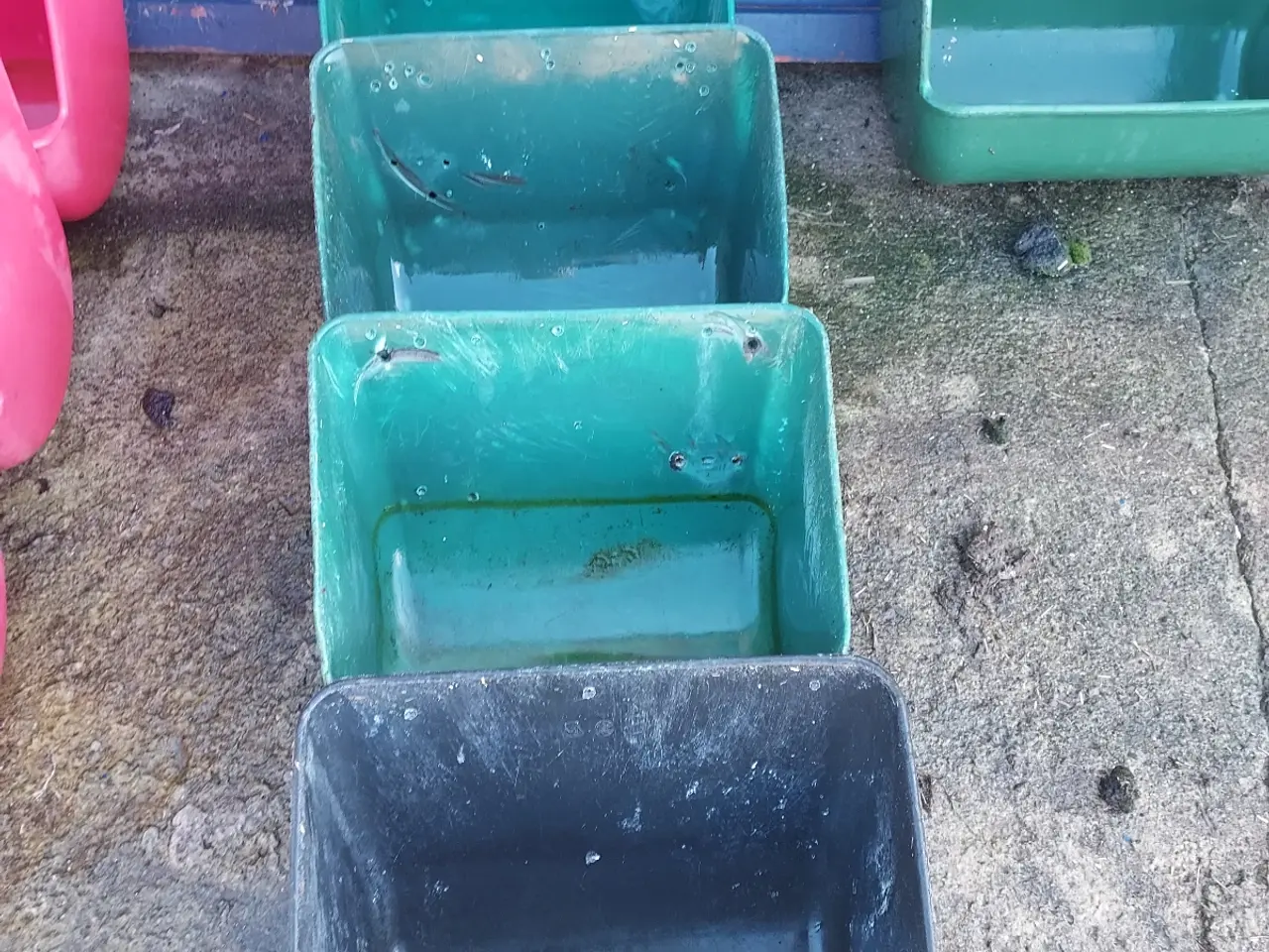 Billede 1 - Fodertrug