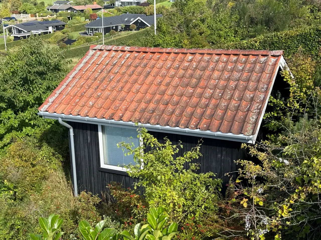 Billede 1 - Anneks til optagning - helt nye træ/alu vinduer
