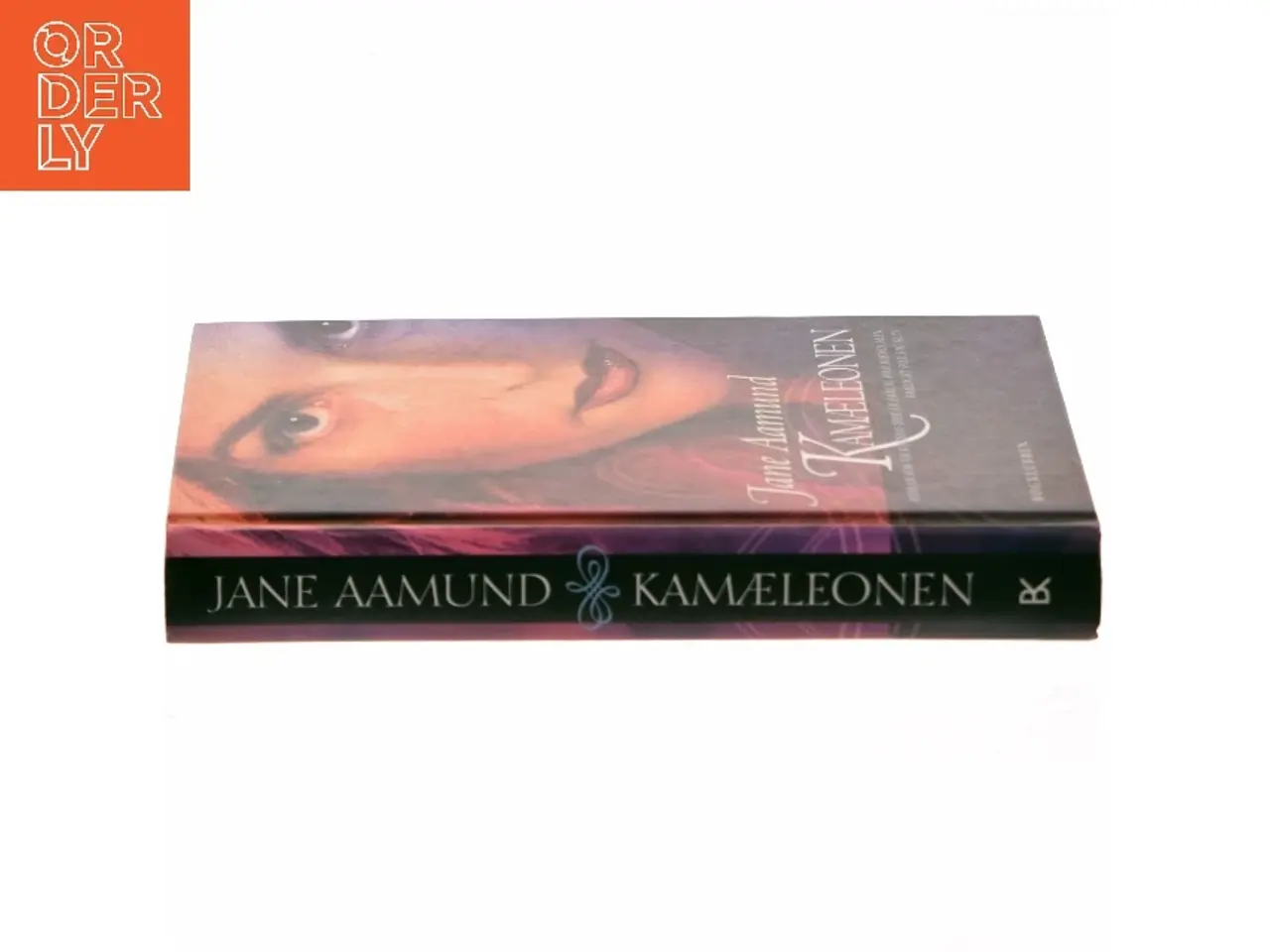 Billede 2 - Kamæleonen af Jane Aamund (Bog)