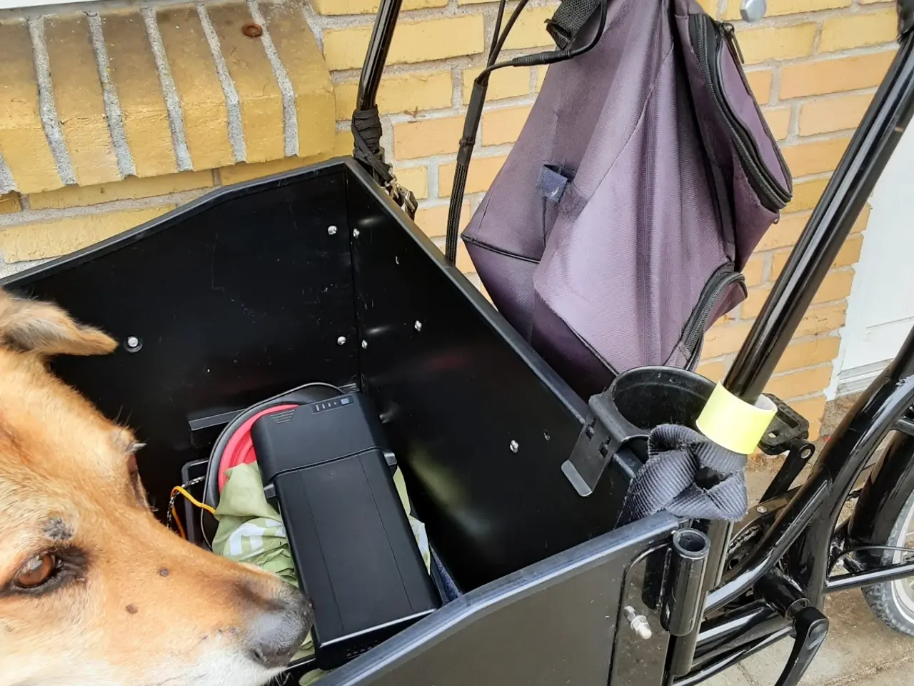 Billede 7 - El-ladcykel + ekstra batteri på 14 ah