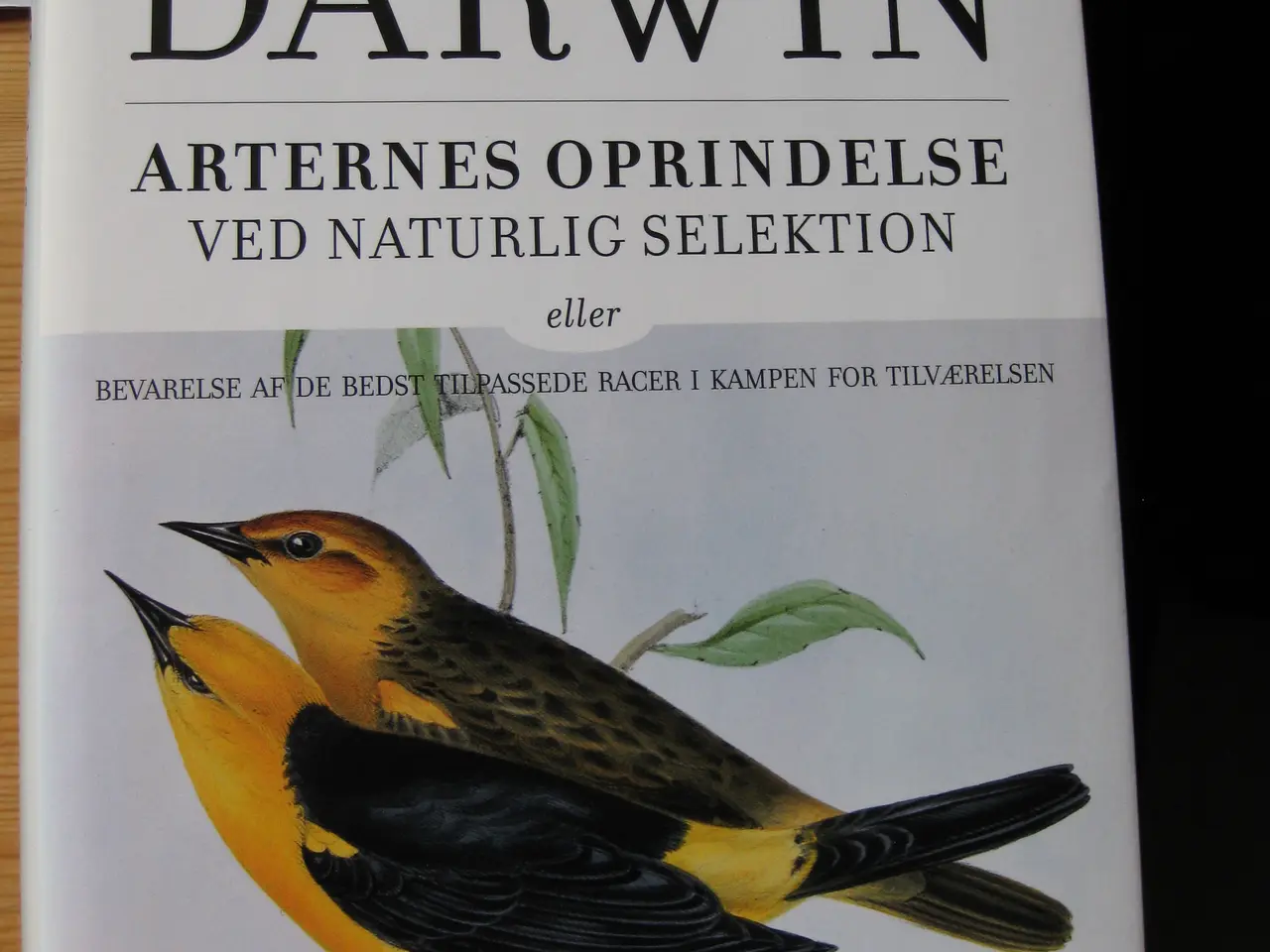 Billede 1 - Charles Darwin: Arternes oprindelse.