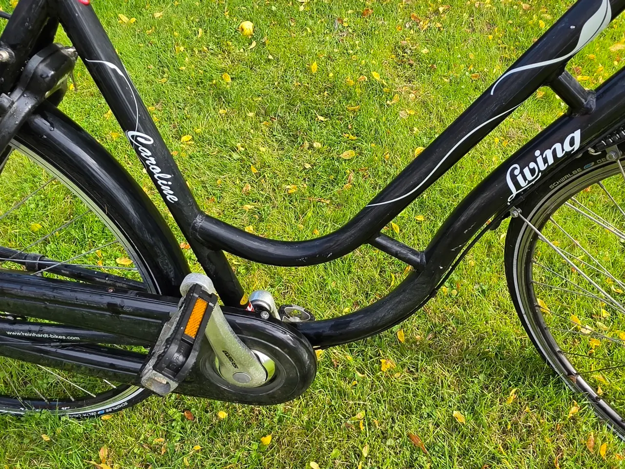 Billede 1 - Damecykel