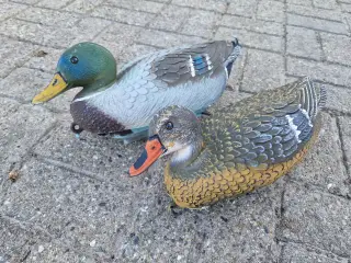 30 styk lokkeænder, gråand
