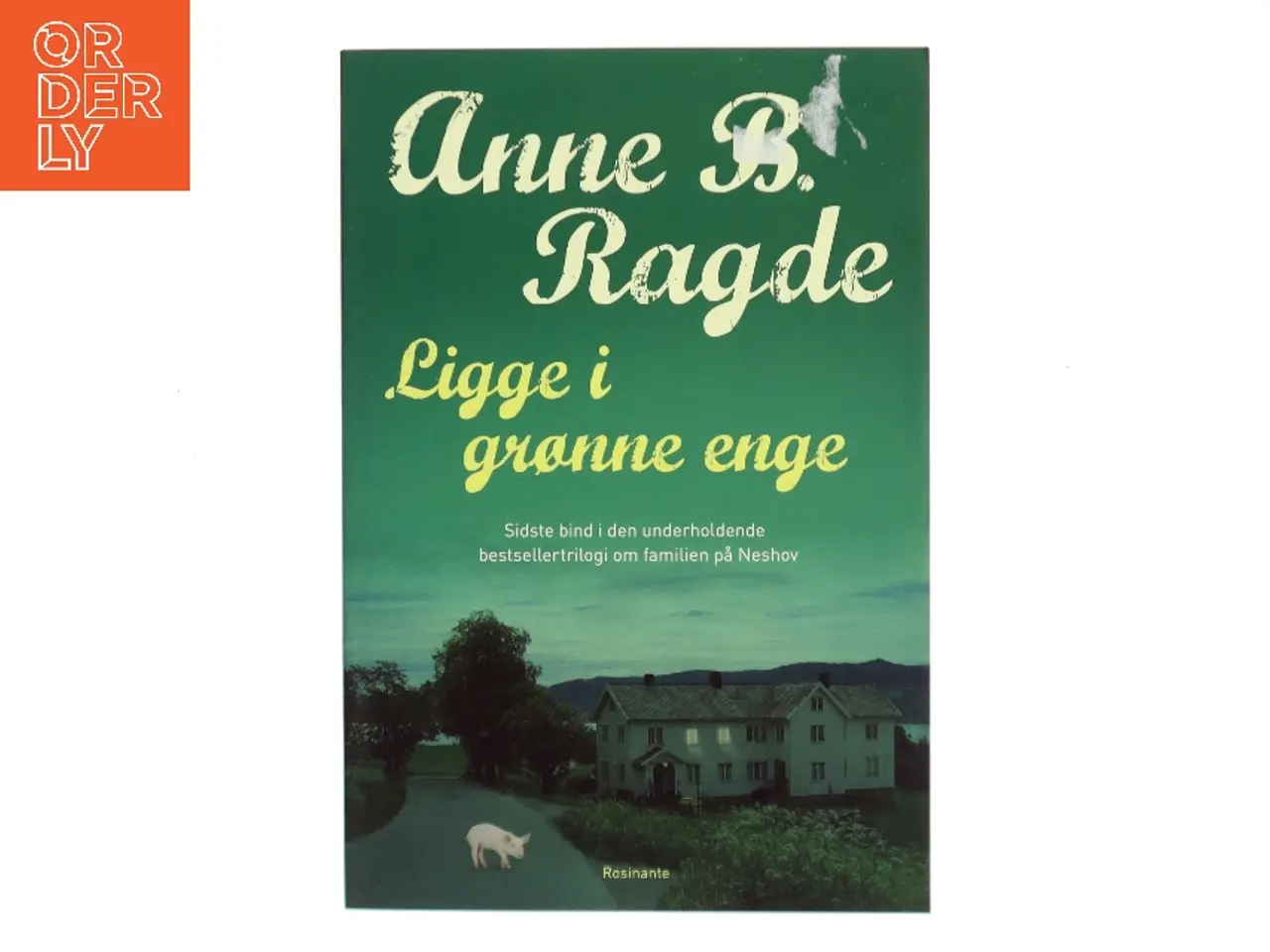 Billede 1 - Ligge i grønne enge : roman af Anne B. Ragde (Bog)
