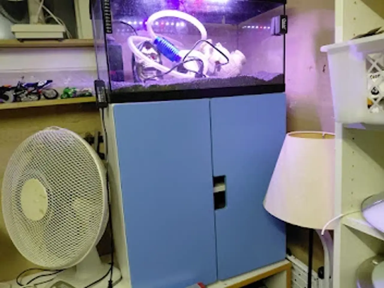 Billede 2 - 60 liter akvarie med skab og tilbehør samt LED lys