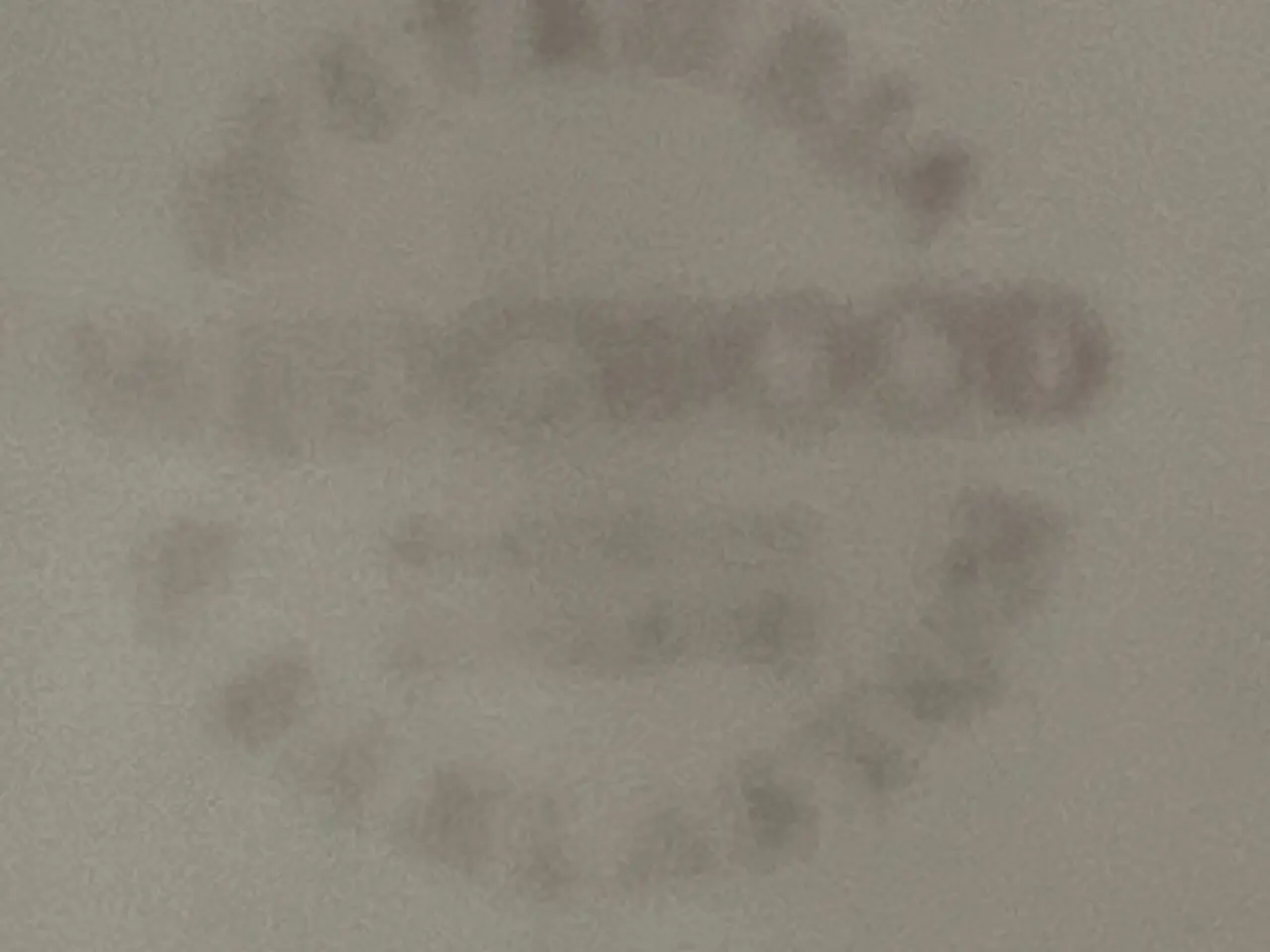 Billede 4 - 3 fine Wedgwood muslinge tallerkner. Pris pr. stk.
