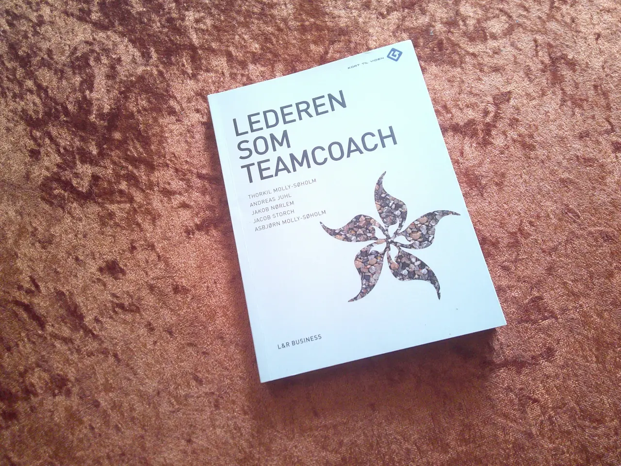 Billede 1 - Lederen som teamcoach, Thorkild Molly Søholm m.fl