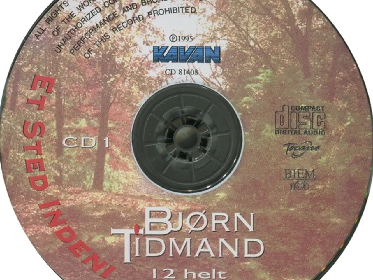 Billede 3 - Bjørn Tidmand – Et Sted Indeni – CD