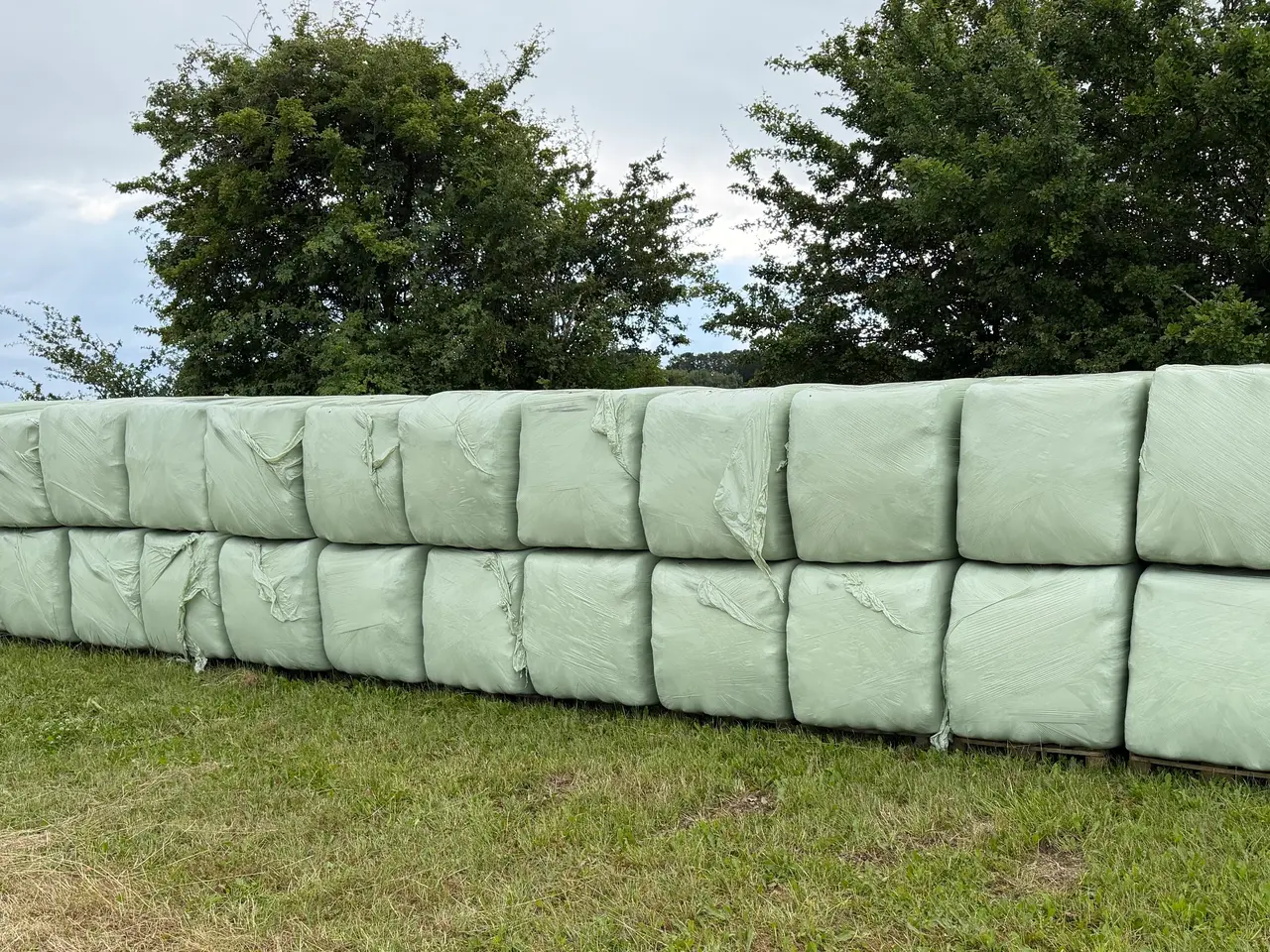 Billede 1 - Wrap Hø 2026 1. Slet