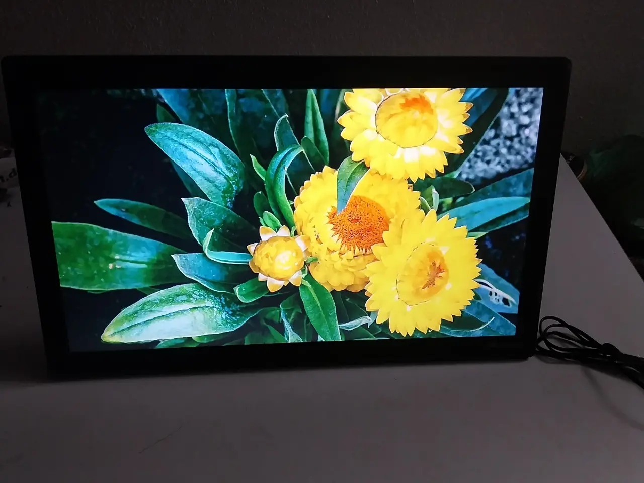 Billede 1 - Braun Digiframe 42 x 26 cm