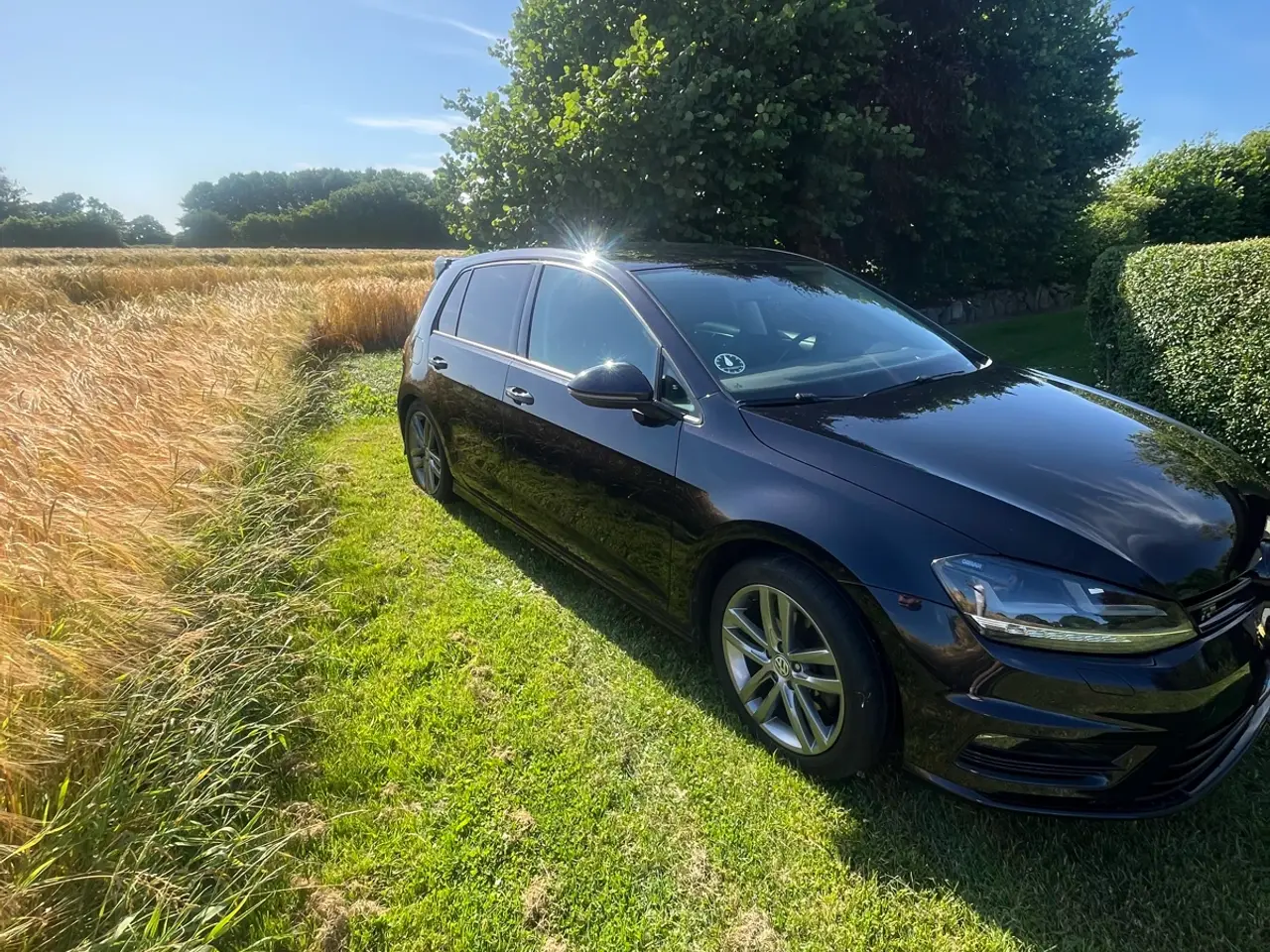 Billede 6 - GOLF 7 R LINE