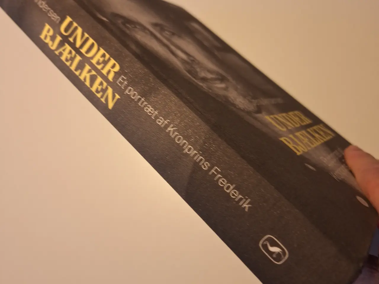Billede 1 - Under Bjælken - om Kong Frederik den X