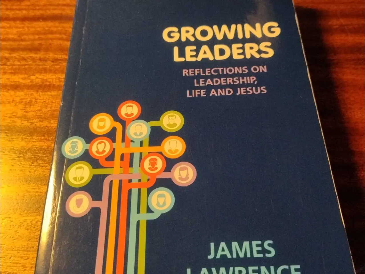 Billede 1 - Growing leaders 