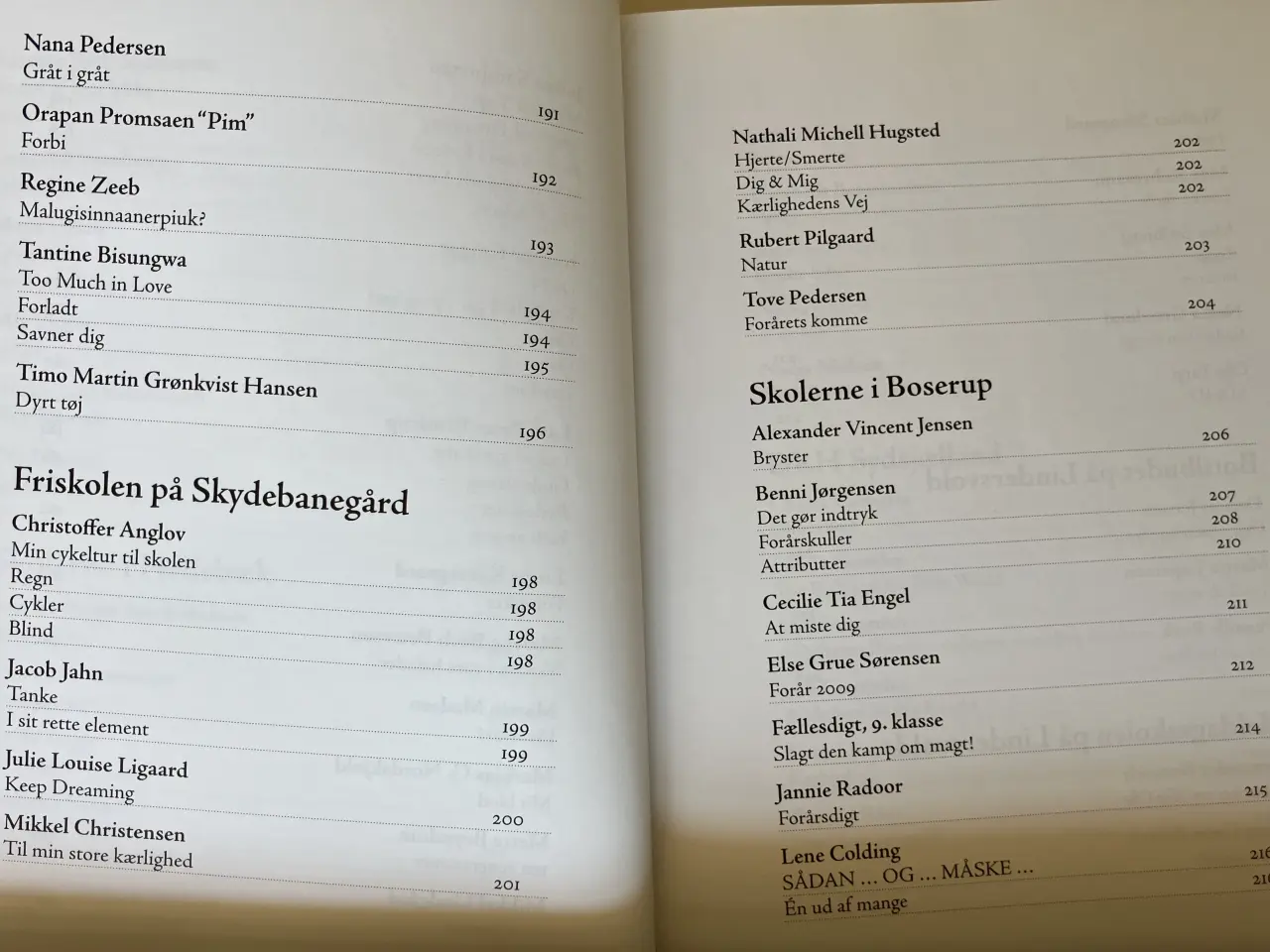 Billede 9 - Poesi - forår. Årgang 2009