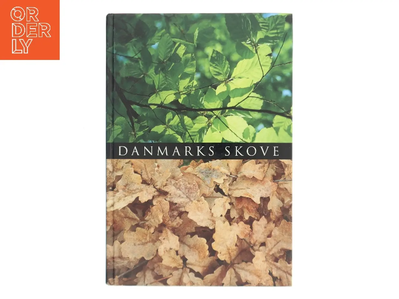 Billede 1 - Danmarks skove af <Udfyld bogens forfattere< (Bog)