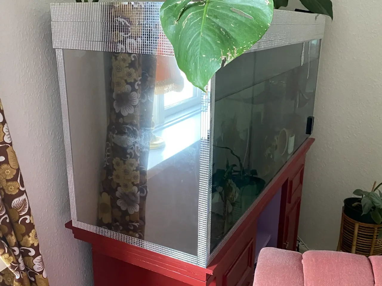 Billede 9 - Akvarie m. Tilbehør - perfekt til axolotler