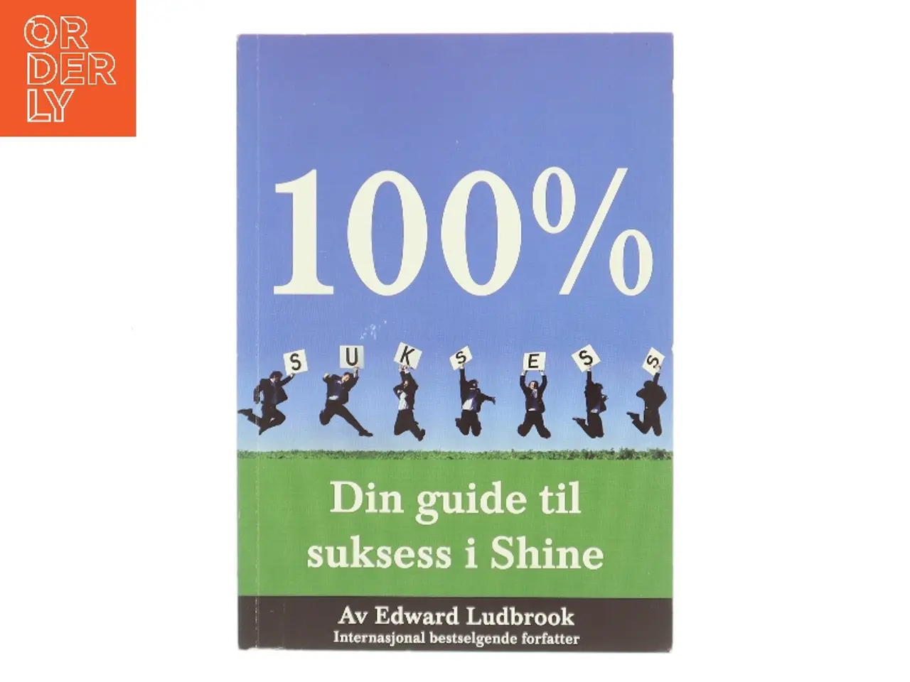 Billede 1 - 100% SUKSESS – Din guide til suksess i Shine af Edward Ludbrook (Bog)