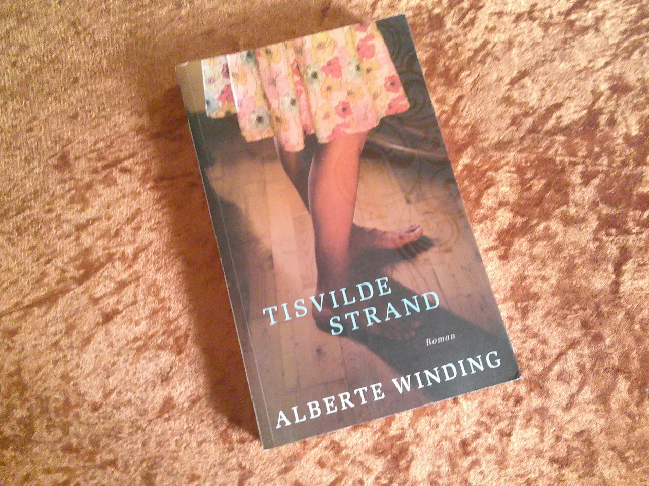 Billede 1 - Tisvilde Strand, Alberte Winding