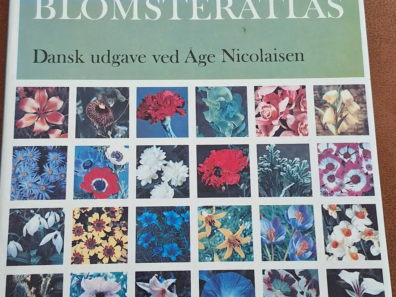 Billede 1 - Lademanns Blomsteratlas