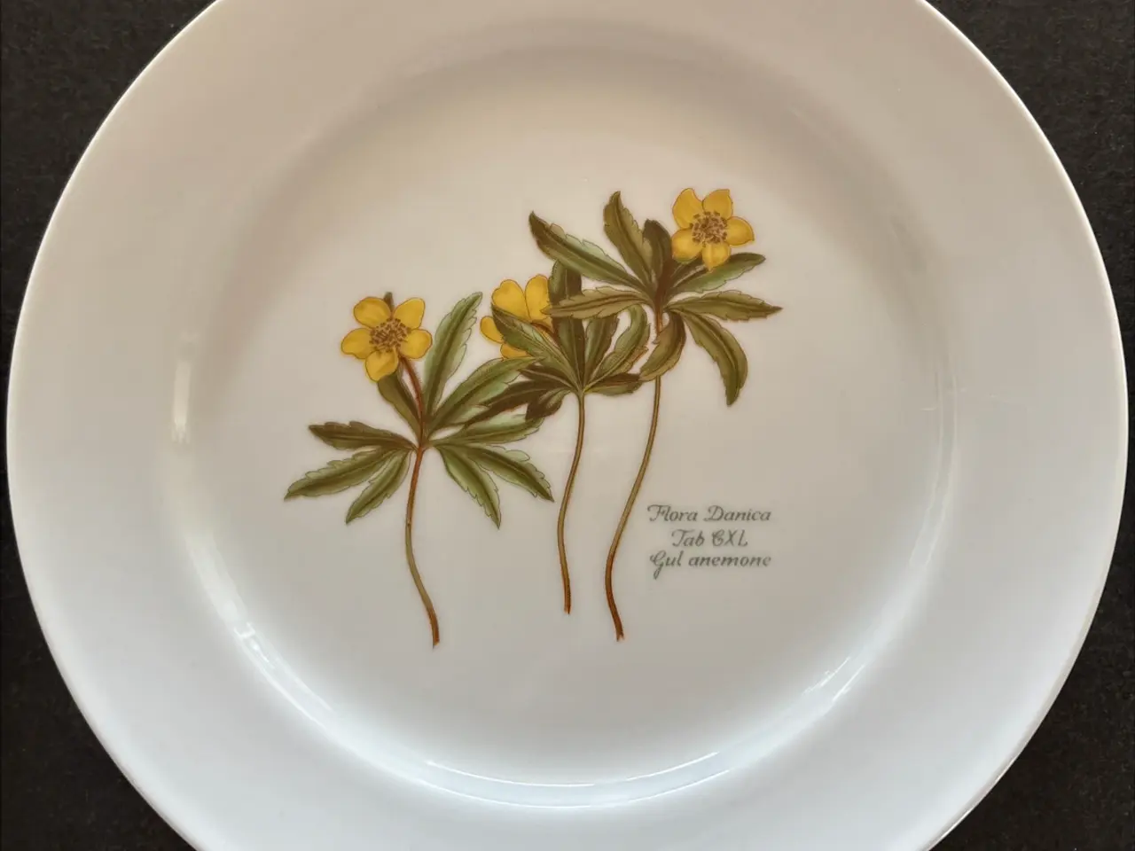 Billede 4 - Flora Danica/Faxe platter sælges