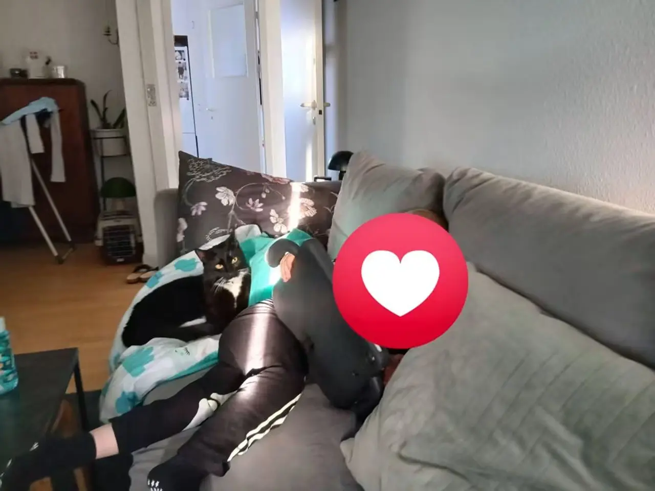 Billede 3 - Kaos søger nyt kærligt hjem ❤️