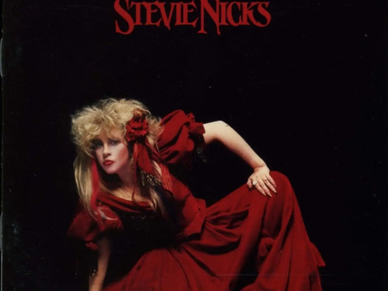 Billede 1 - Stevie Nicks – The Other Side Of The Mirror – CD