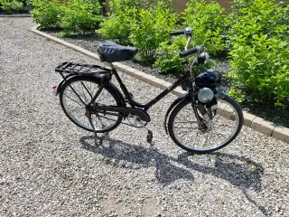 Berini