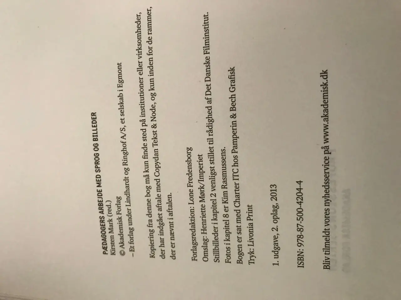 Billede 2 - Pædagogers arbejde med sprog og billede