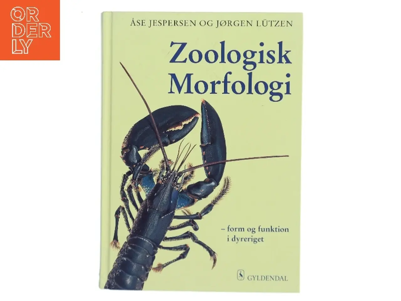 Billede 1 - Zoologisk morfologi : form og funktion i dyreriget (Bog)