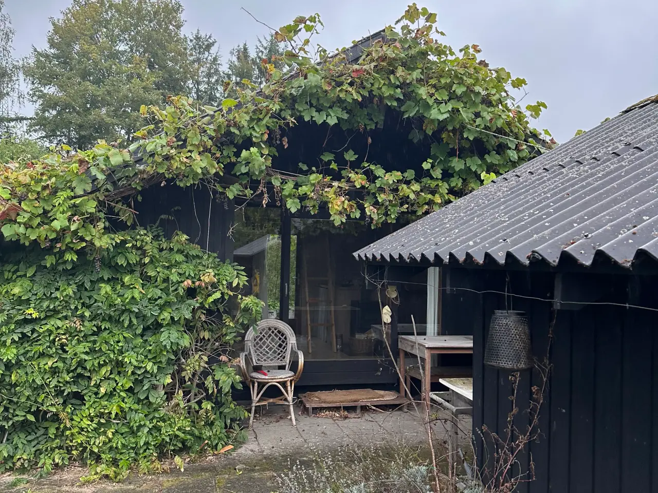Billede 10 - Skøn kolonihave med fantastisk beliggenhed