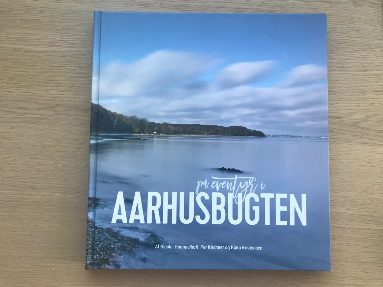 Billede 1 - På Eventyr i AARHUSBUGTEN
