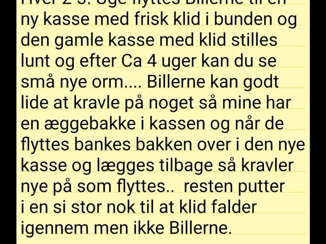 Billede 4 - Melorm opdræt
