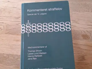 Kommenteret straffelov 12. udgave