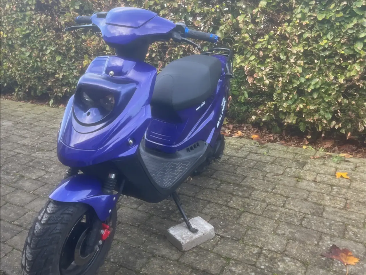 Billede 1 - Pgo hot 50 2 takt 2002