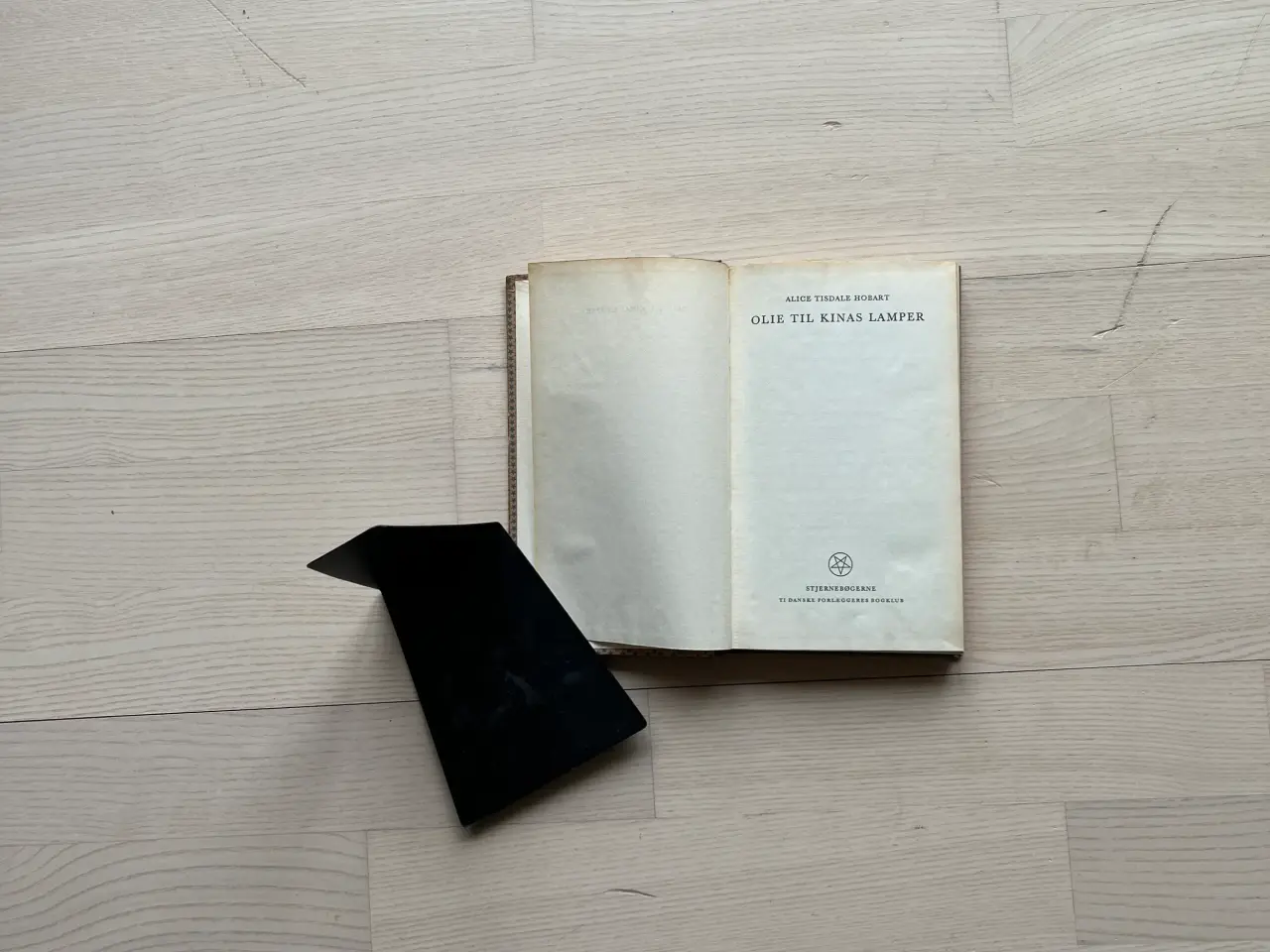 Billede 2 - Olie til Kinas lamper - af Alice T. Hobart