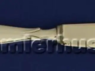 Monark Middagskniv, 21 cm.