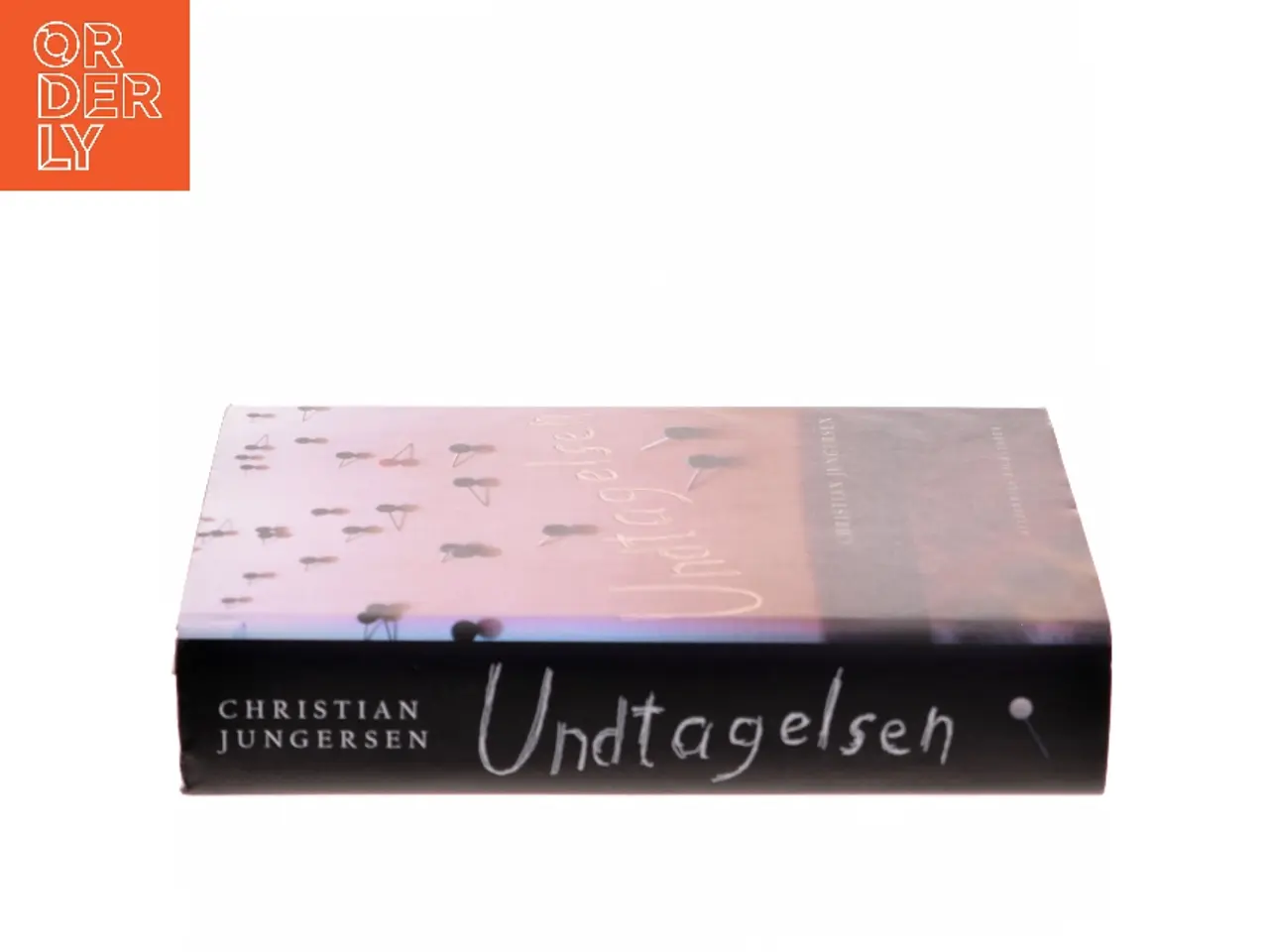 Billede 2 - Undtagelsen : roman af Christian Jungersen (Bog)