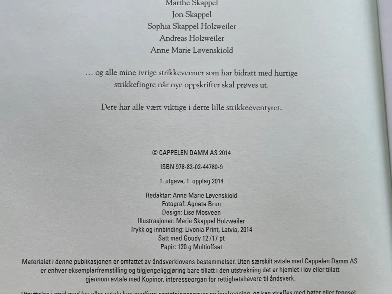 Billede 2 - Skappel strik
