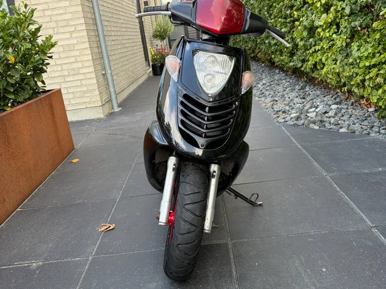 Billede 4 - Aprilia sonic