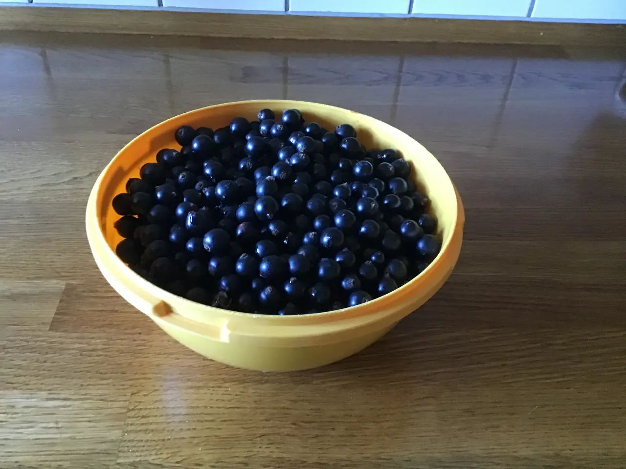 Billede 1 - Solbær, plukkede 1 kg