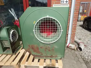Løkke 5,5 hk 1 års garanti.