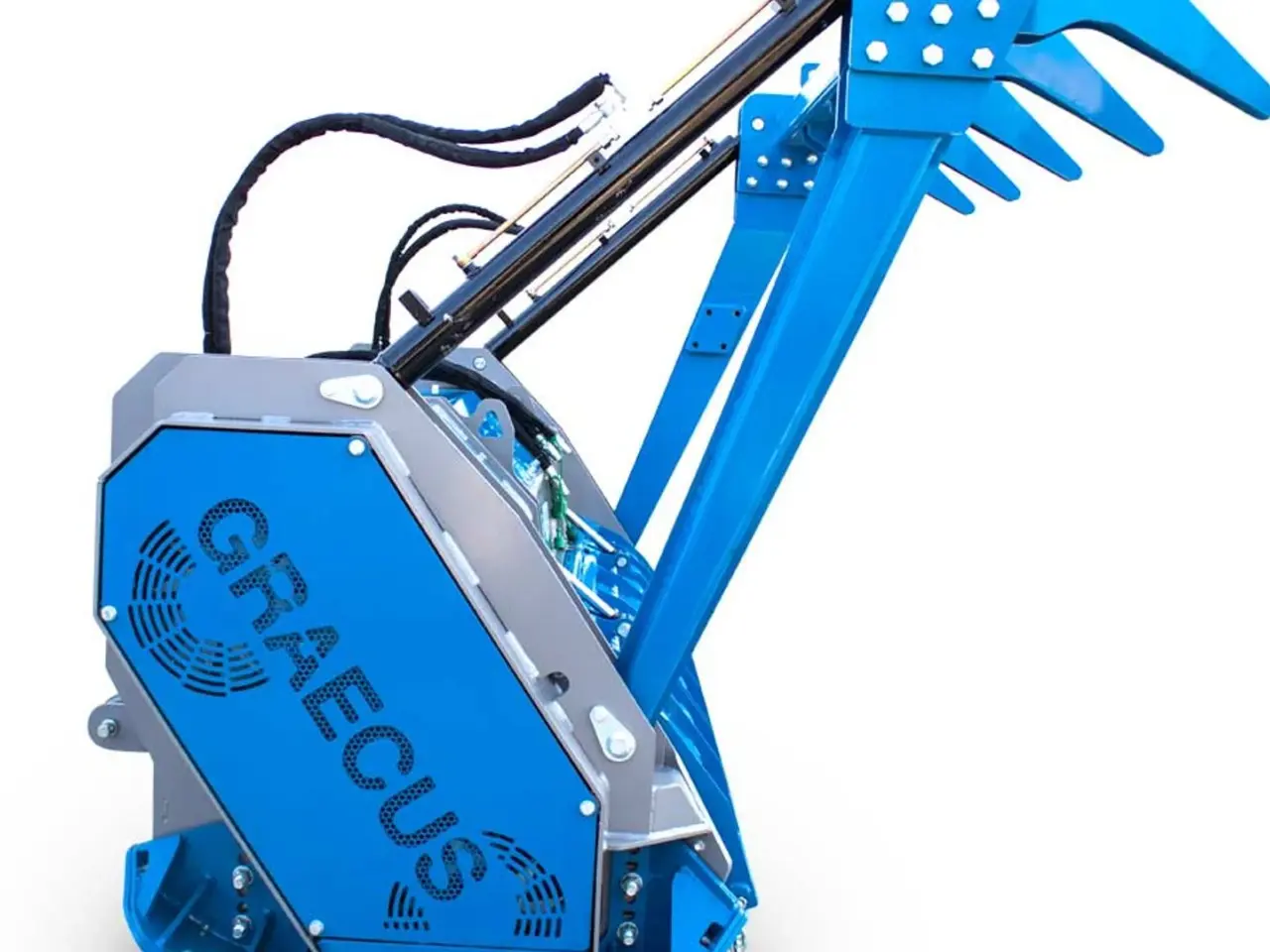 Billede 6 - Graecus shark230 KNUSER