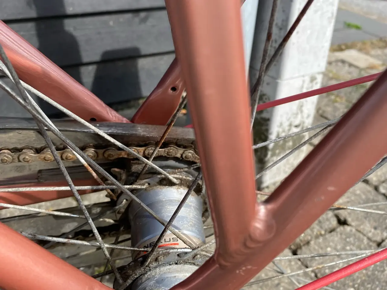 Billede 9 - Pigecykel 26”