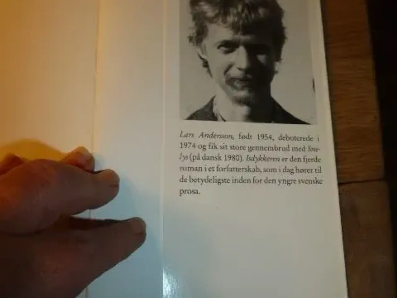 Billede 3 - Isdykkeren
