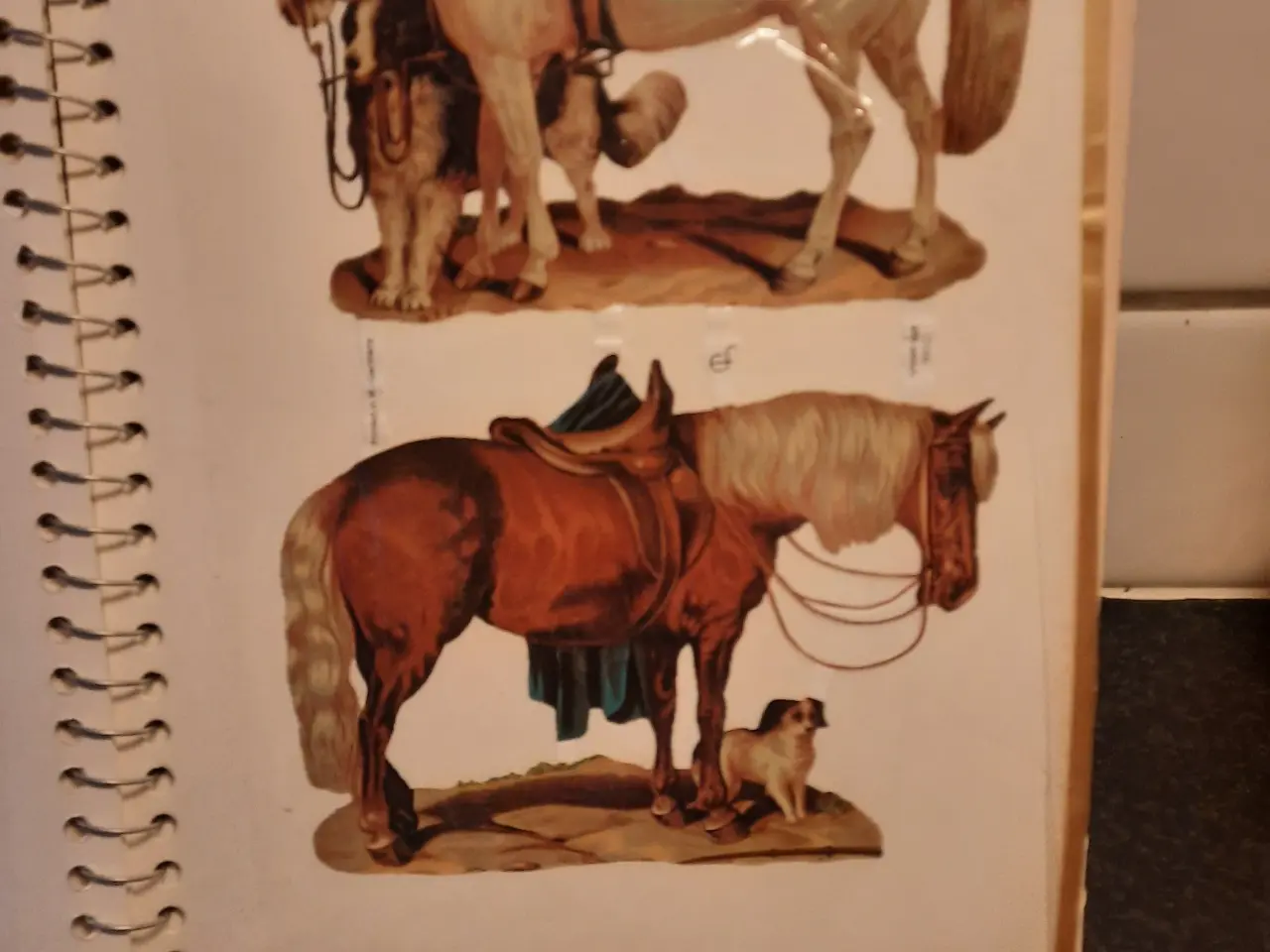 Billede 14 - Glansbilledalbum 20 sider