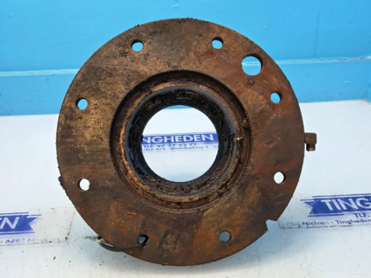 Billede 8 - Claas Jaguar 850 Hub 9873330 