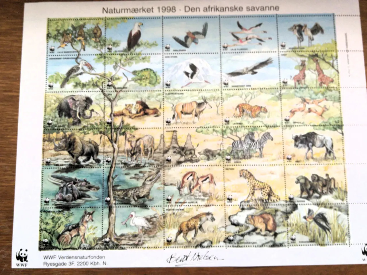 Billede 4 - Danmark, WWF Naturmærker 1993 - 2000.